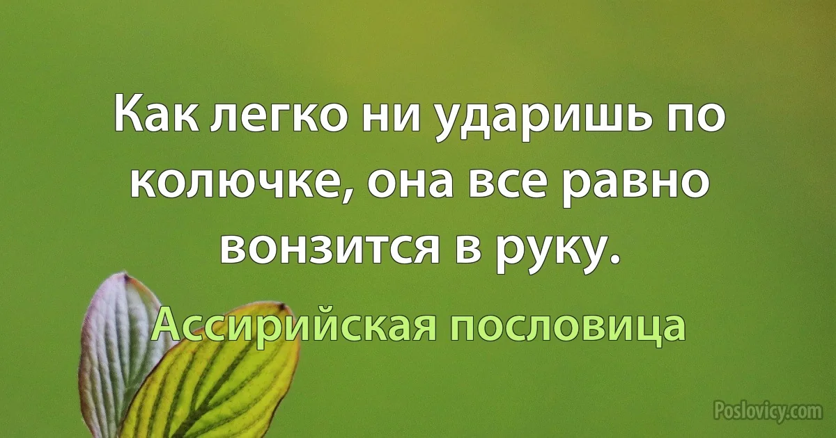 Как легко ни ударишь по колючке, она все равно вонзится в руку. (Ассирийская пословица)