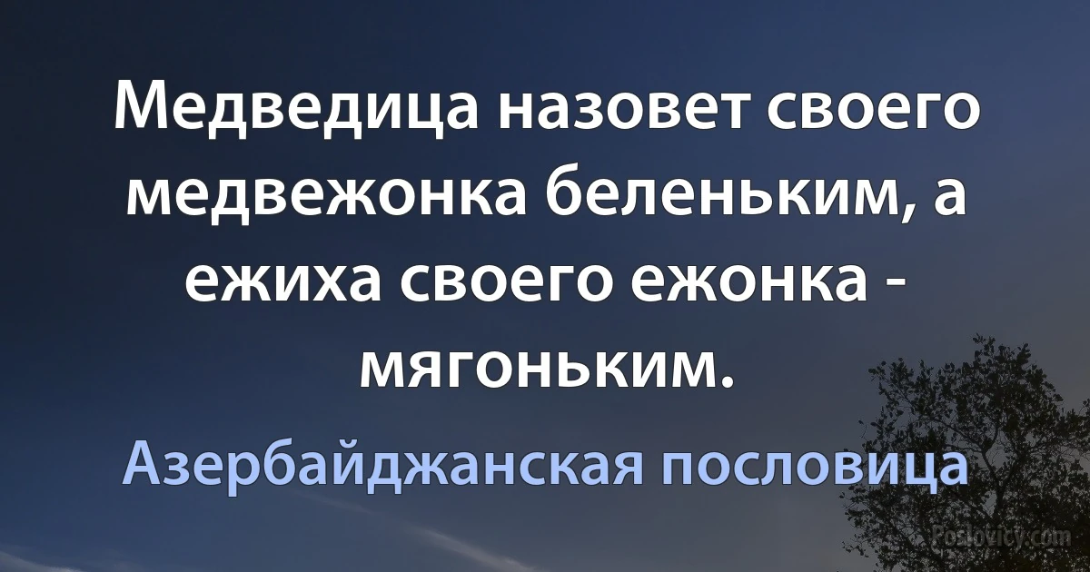 Медведица назовет своего медвежонка беленьким, а ежиха своего ежонка - мягоньким. (Азербайджанская пословица)