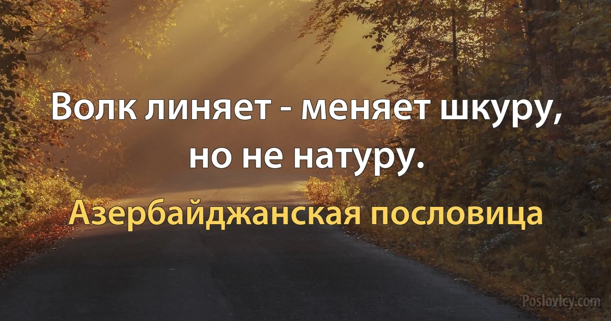 Волк линяет - меняет шкуру, но не натуру. (Азербайджанская пословица)