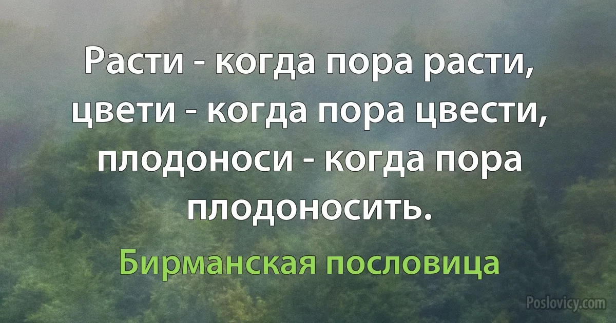 Расти - когда пора расти, цвети - когда пора цвести, плодоноси - когда пора плодоносить. (Бирманская пословица)