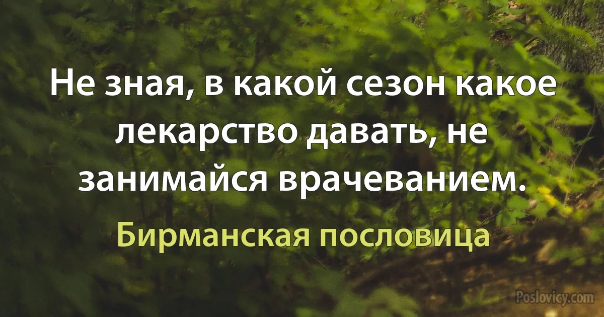 Не зная, в какой сезон какое лекарство давать, не занимайся врачеванием. (Бирманская пословица)