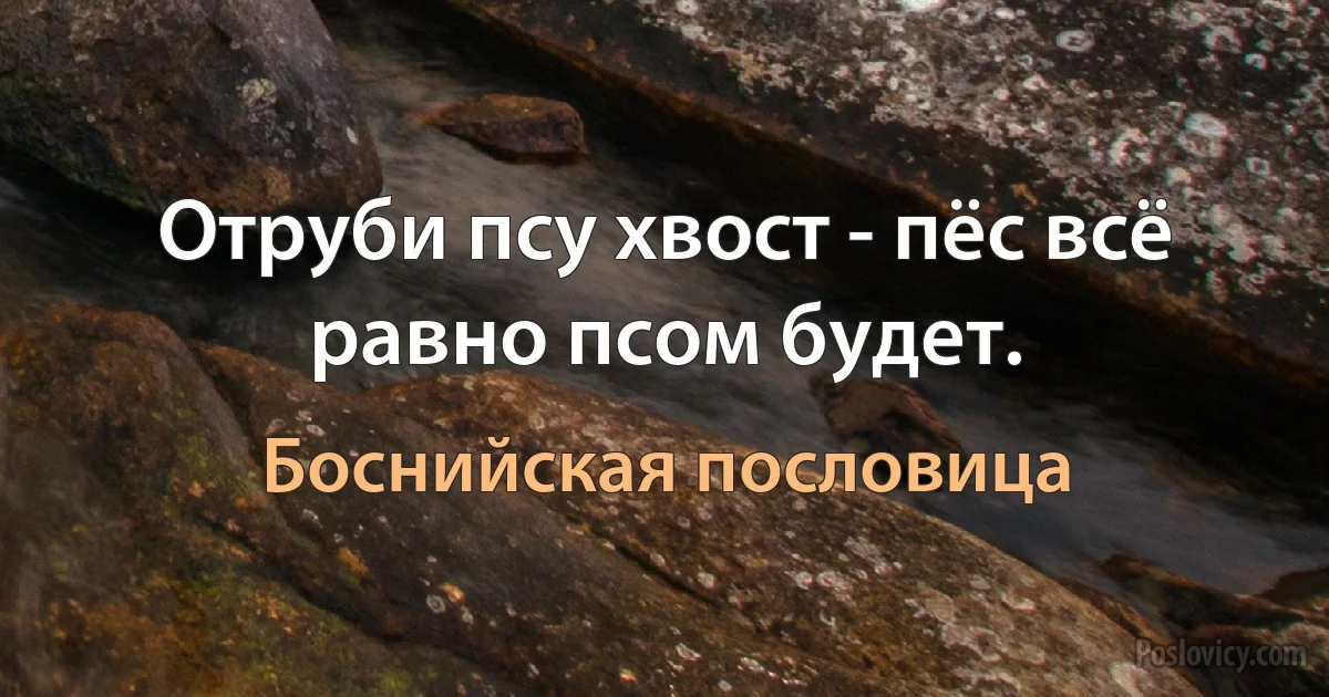 Отруби псу хвост - пёс всё равно псом будет. (Боснийская пословица)