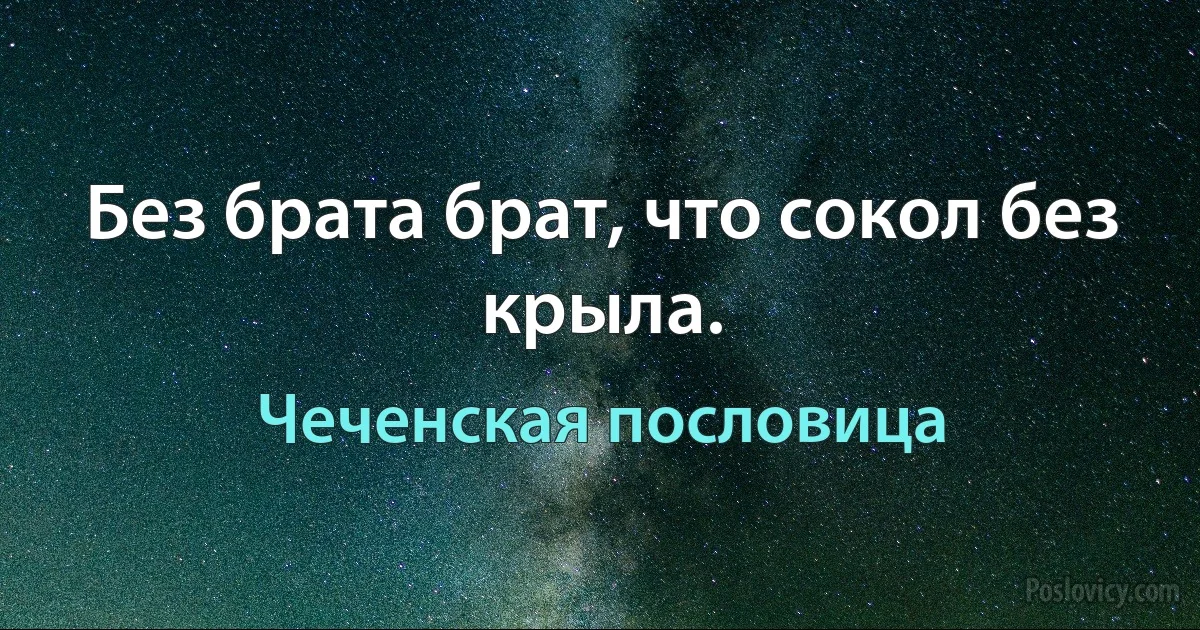 Без брата брат, что сокол без крыла. (Чеченская пословица)