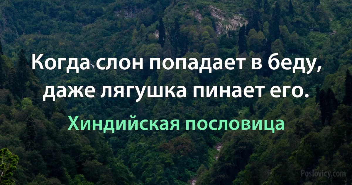 Когда слон попадает в беду, даже лягушка пинает его. (Хиндийская пословица)