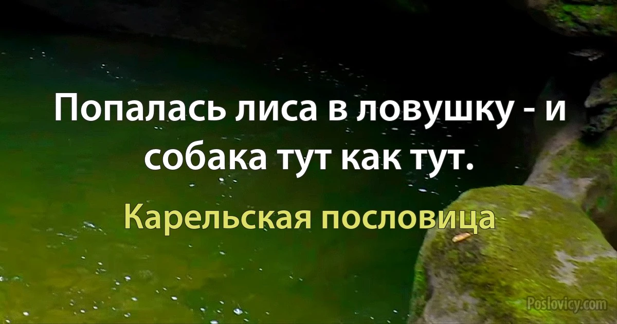 Попалась лиса в ловушку - и собака тут как тут. (Карельская пословица)