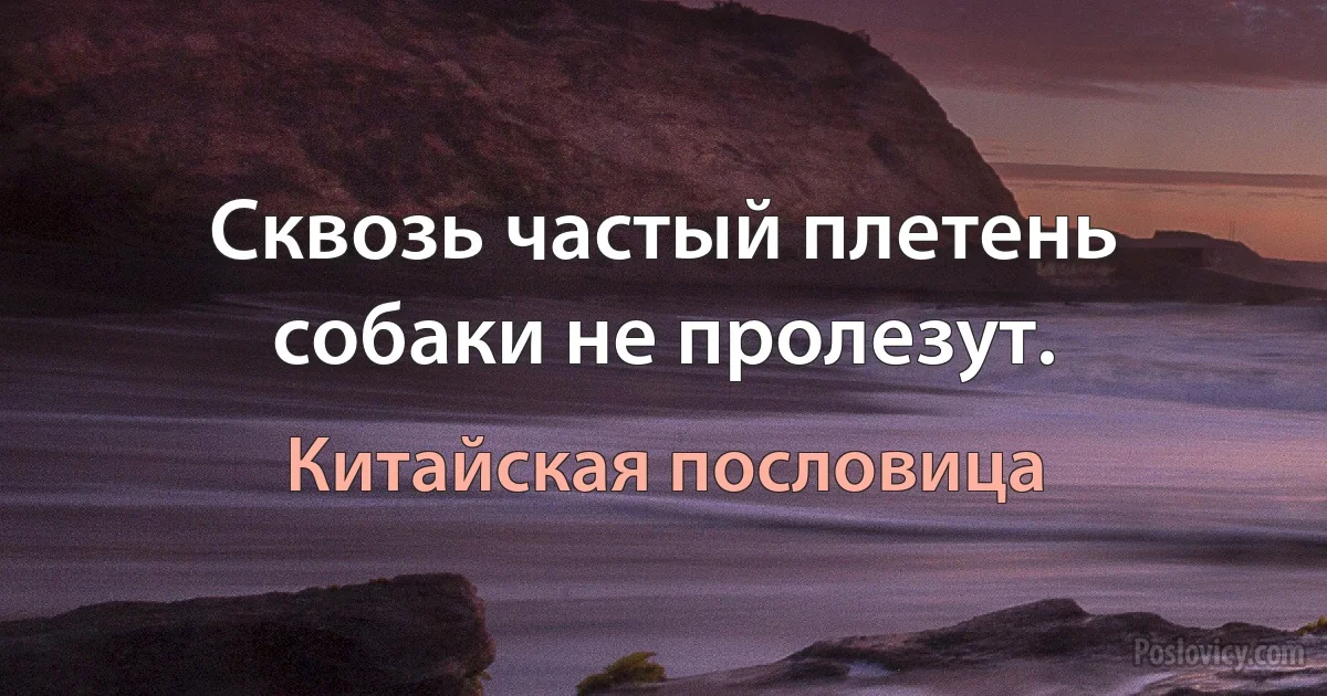 Сквозь частый плетень собаки не пролезут. (Китайская пословица)