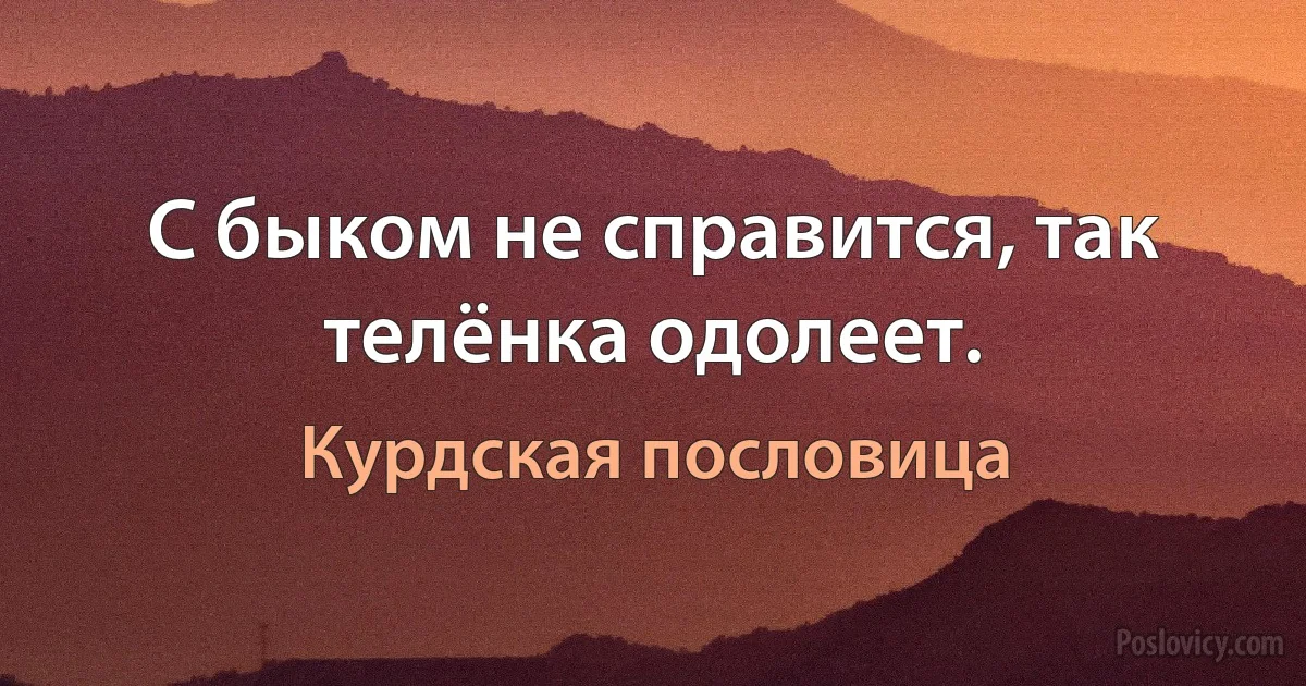 С быком не справится, так телёнка одолеет. (Курдская пословица)