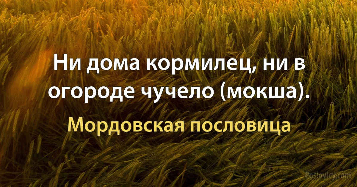 Ни дома кормилец, ни в огороде чучело (мокша). (Мордовская пословица)