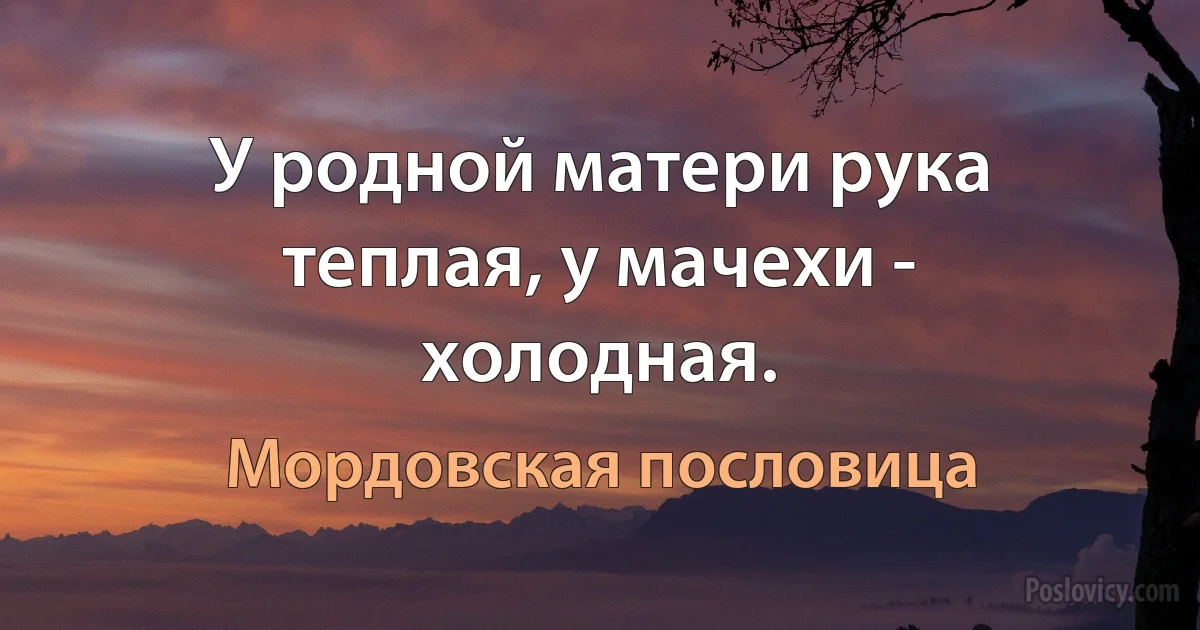 У родной матери рука теплая, у мачехи - холодная. (Мордовская пословица)