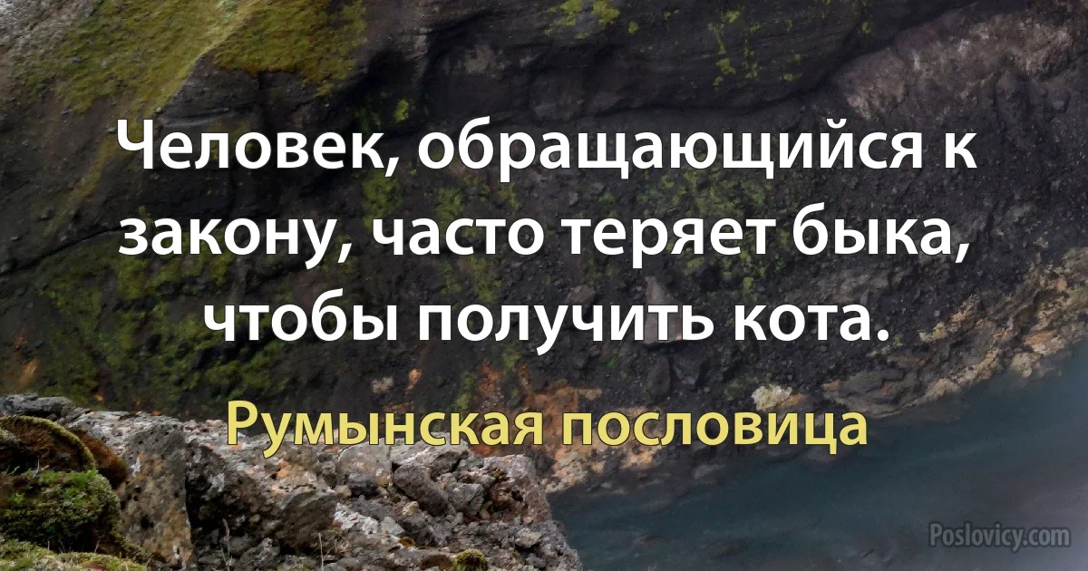 Человек, обращающийся к закону, часто теряет быка, чтобы получить кота. (Румынская пословица)