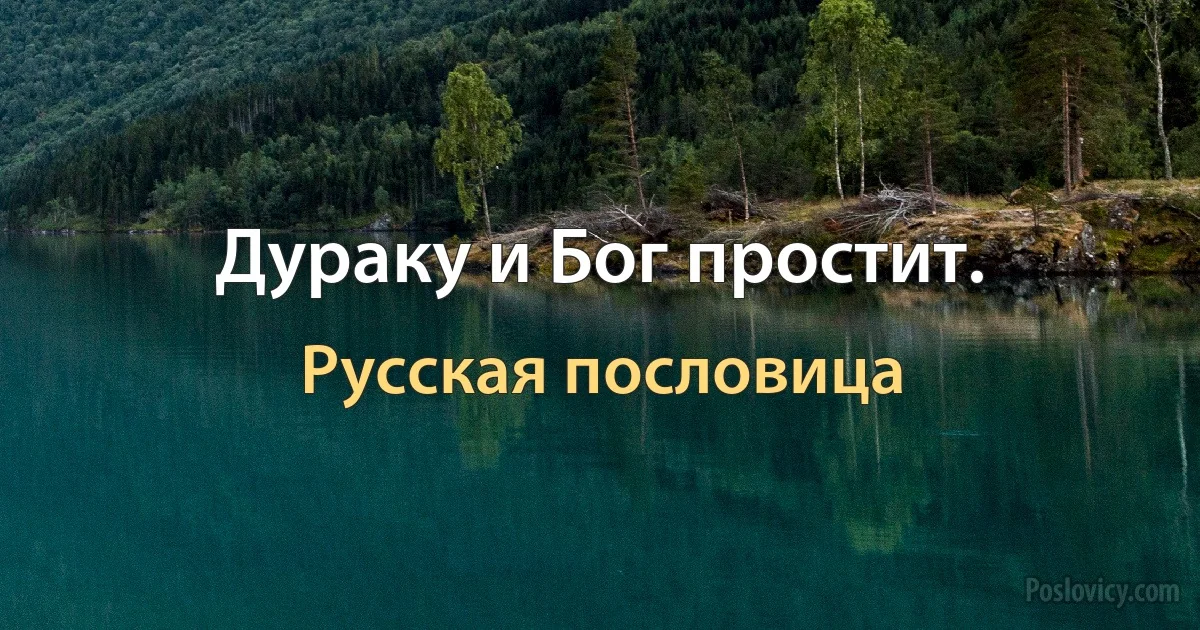 Дураку и Бог простит. (Русская пословица)