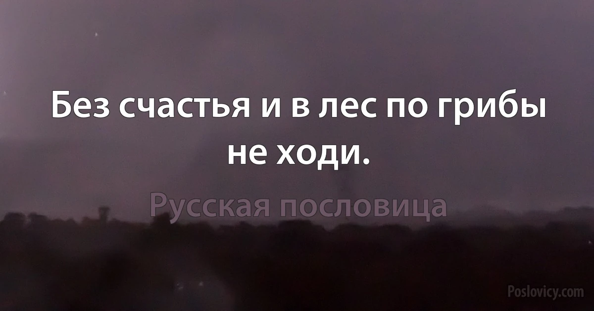 Без счастья и в лес по грибы не ходи. (Русская пословица)