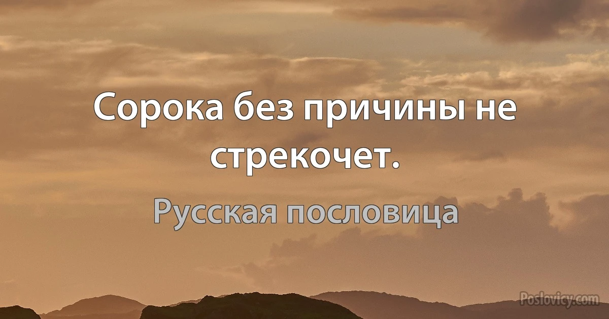 Сорока без причины не стрекочет. (Русская пословица)