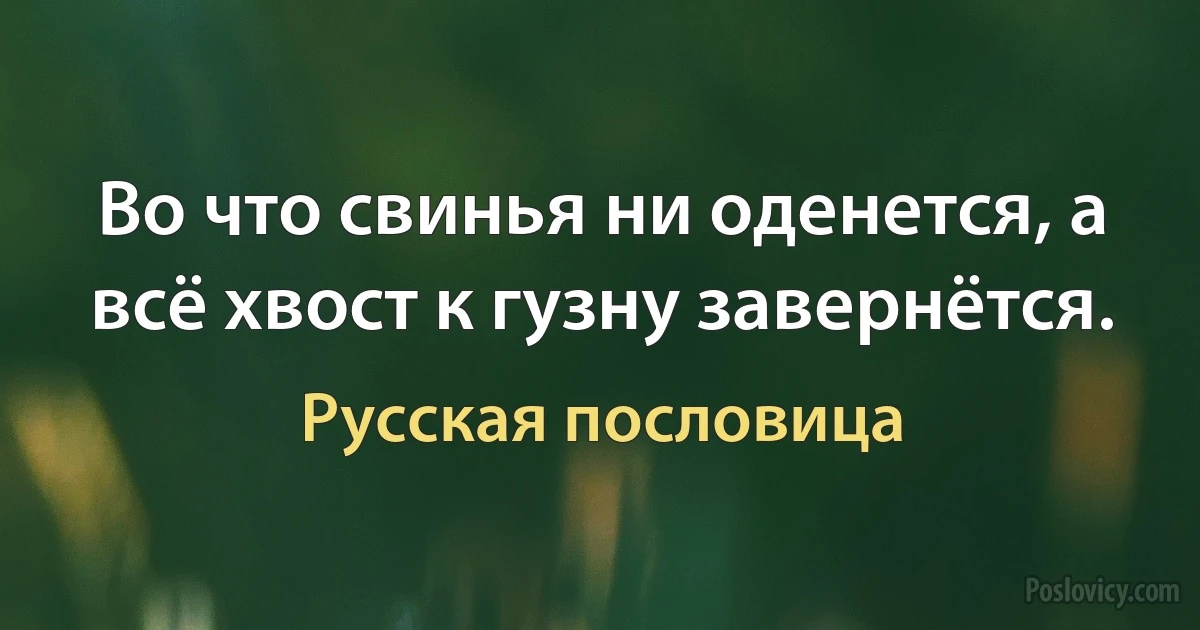 Во что свинья ни оденется, а всё хвост к гузну завернётся. (Русская пословица)