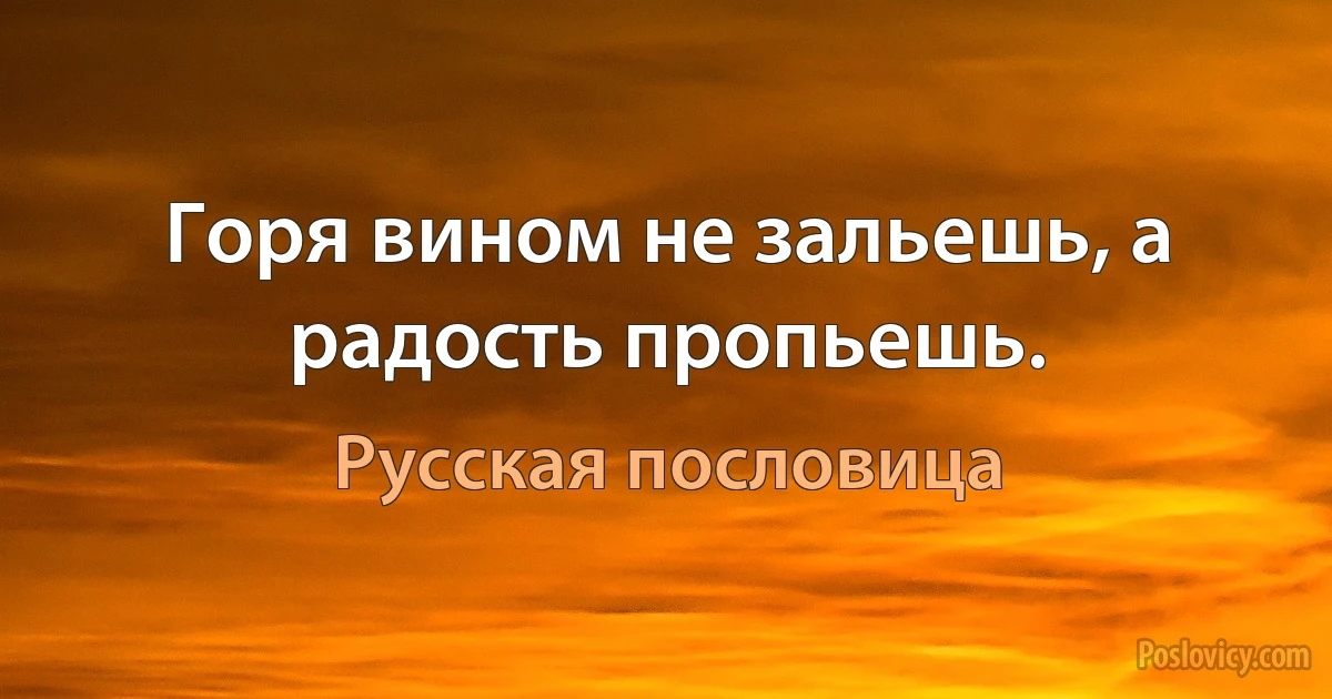 Горя вином не зальешь, а радость пропьешь. (Русская пословица)