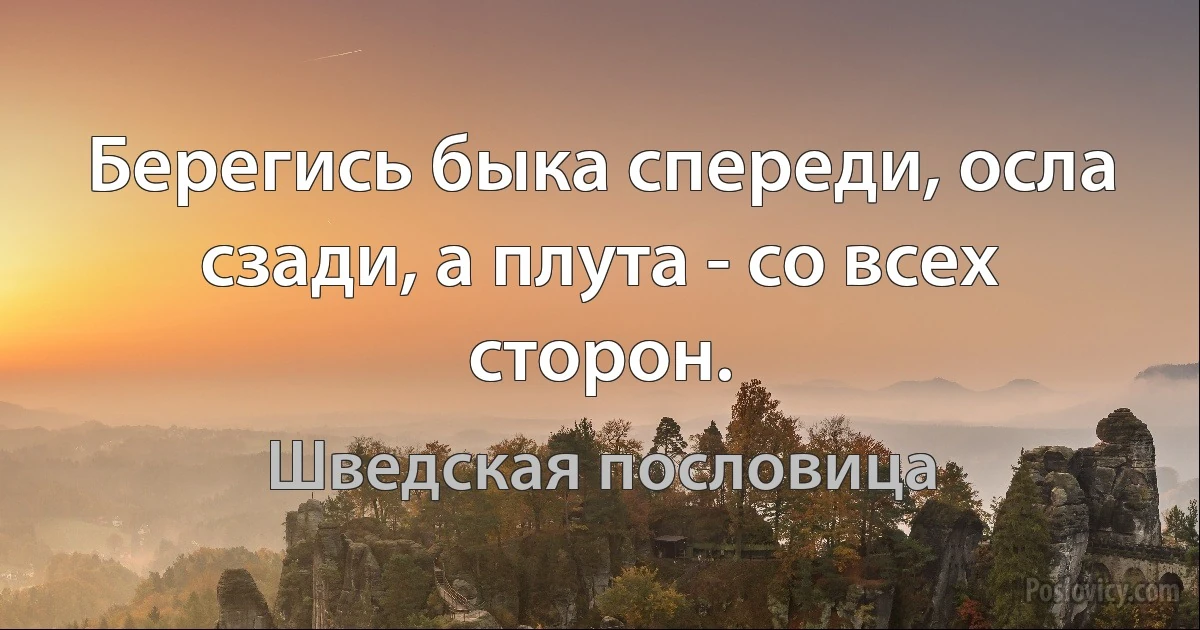 Берегись быка спереди, осла сзади, а плута - со всех сторон. (Шведская пословица)