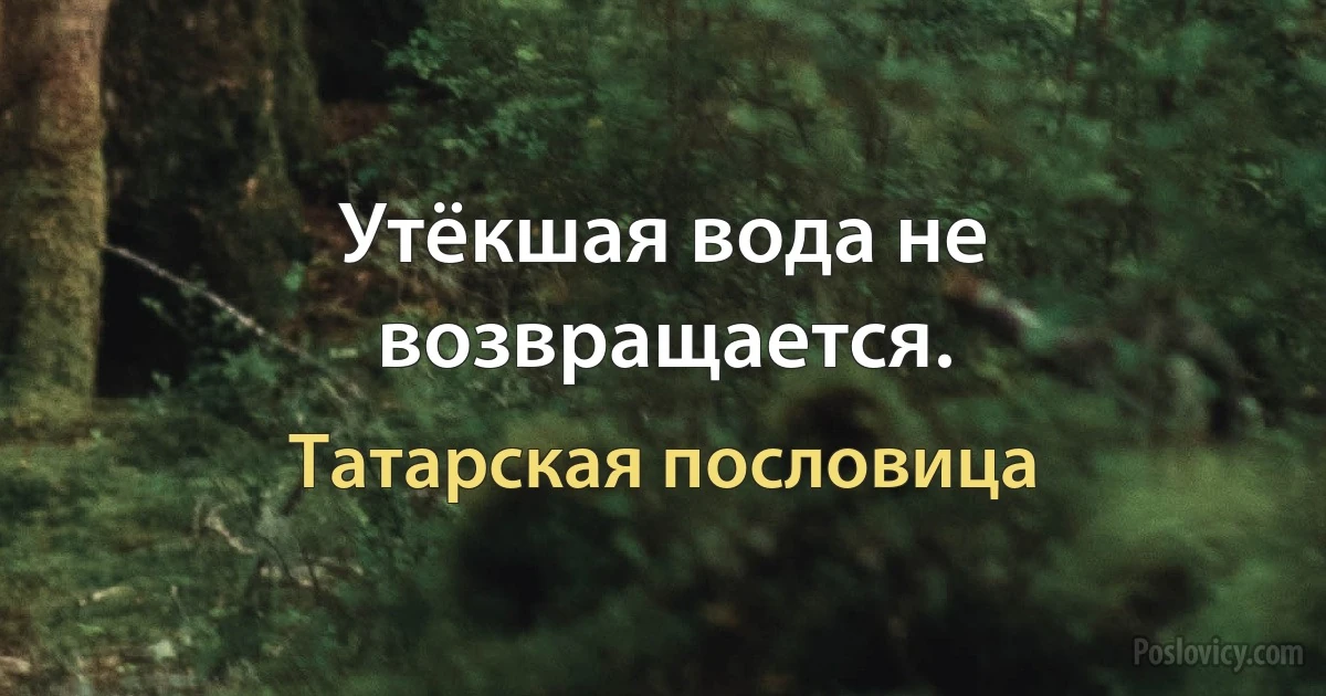 Утёкшая вода не возвращается. (Татарская пословица)