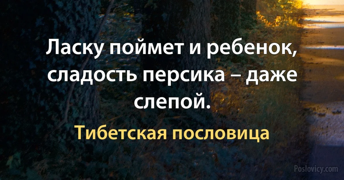 Ласку поймет и ребенок, сладость персика – даже слепой. (Тибетская пословица)