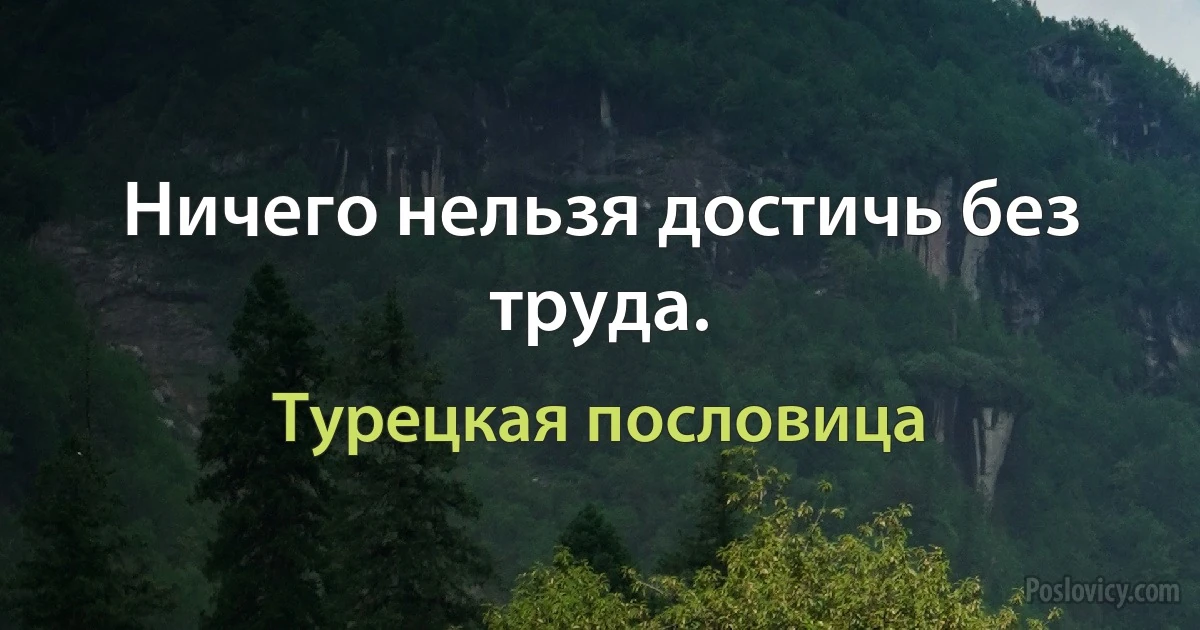 Ничего нельзя достичь без труда. (Турецкая пословица)