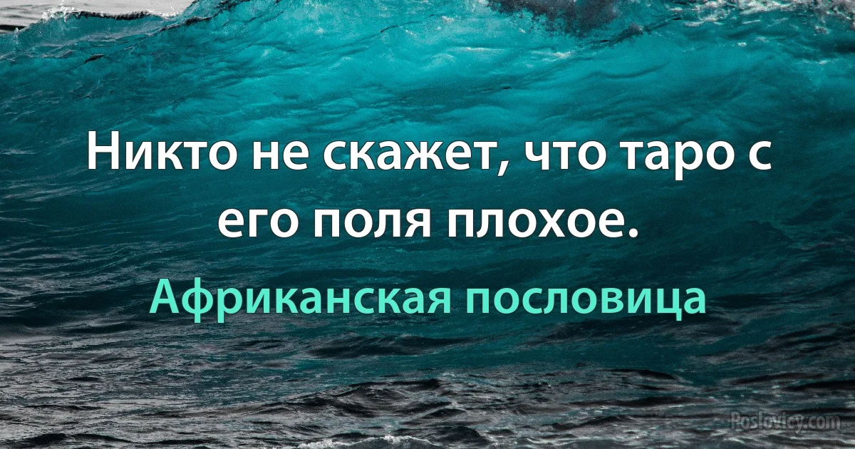 Никто не скажет, что таро с его поля плохое. (Африканская пословица)