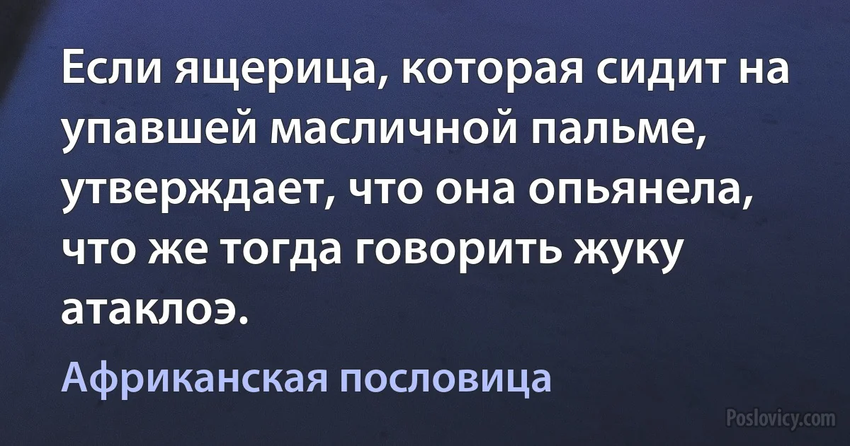 Если ящерица, которая сидит на упавшей масличной пальме, утверждает, что она опьянела, что же тогда говорить жуку атаклоэ. (Африканская пословица)