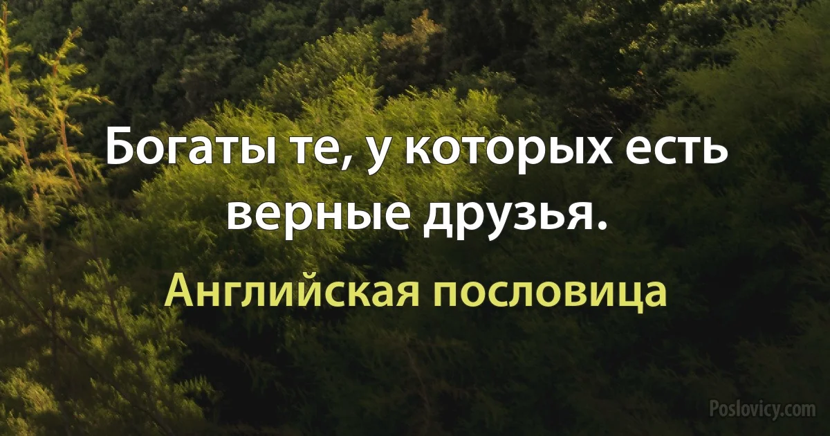 Богаты те, у которых есть верные друзья. (Английская пословица)