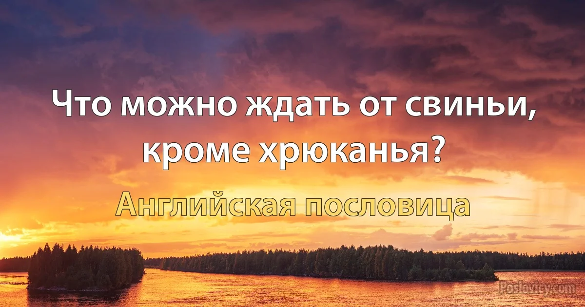 Что можно ждать от свиньи, кроме хрюканья? (Английская пословица)