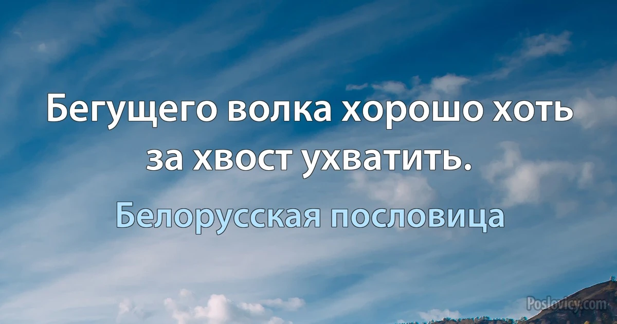 Бегущего волка хорошо хоть за хвост ухватить. (Белорусская пословица)