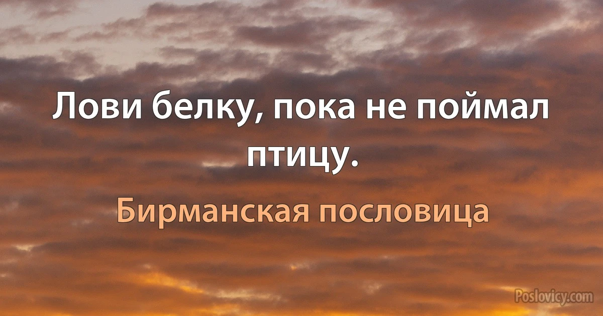 Лови белку, пока не поймал птицу. (Бирманская пословица)