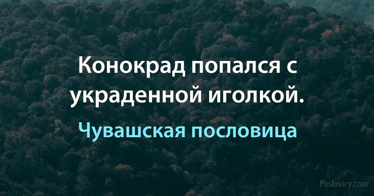 Конокрад попался с украденной иголкой. (Чувашская пословица)