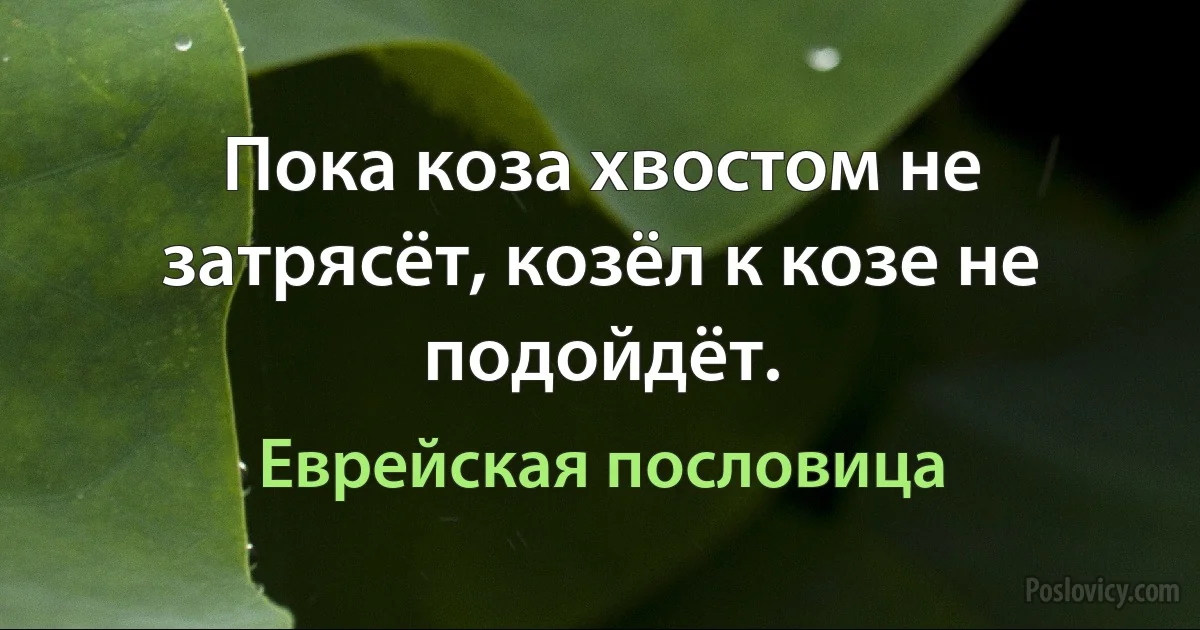 Пока коза хвостом не затрясёт, козёл к козе не подойдёт. (Еврейская пословица)