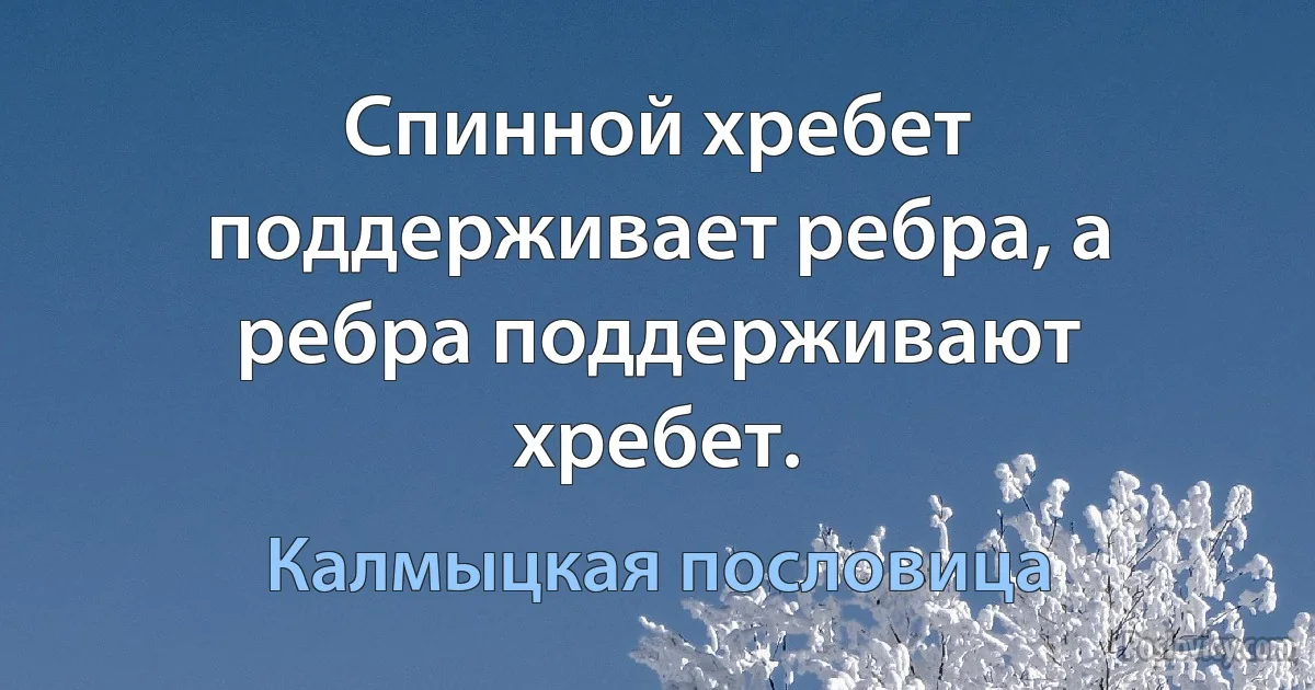 Спинной хребет поддерживает ребра, а ребра поддерживают хребет. (Калмыцкая пословица)