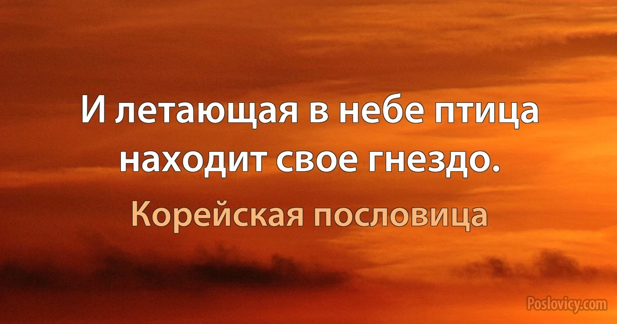 И летающая в небе птица находит свое гнездо. (Корейская пословица)