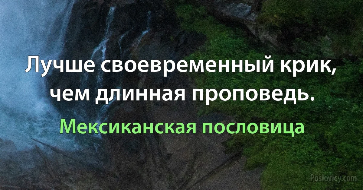 Лучше своевременный крик, чем длинная проповедь. (Мексиканская пословица)