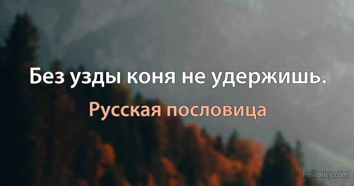 Без узды коня не удержишь. (Русская пословица)