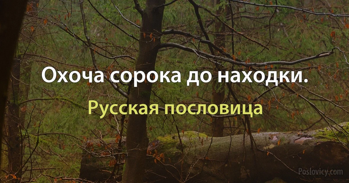 Охоча сорока до находки. (Русская пословица)