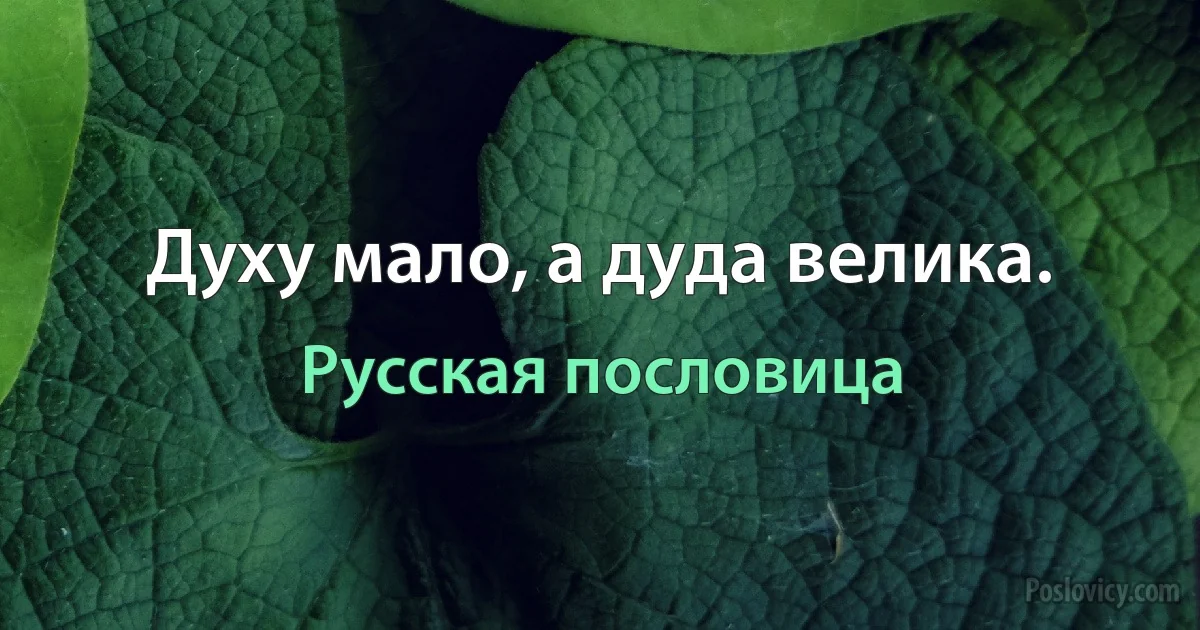 Духу мало, а дуда велика. (Русская пословица)