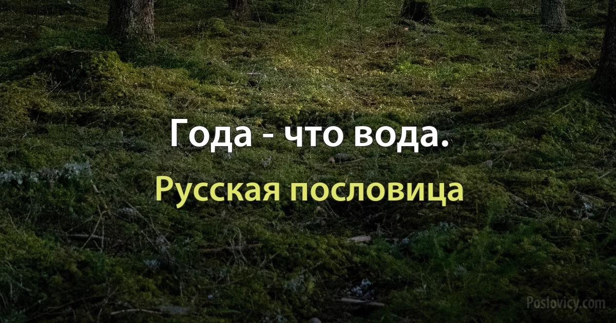 Года - что вода. (Русская пословица)