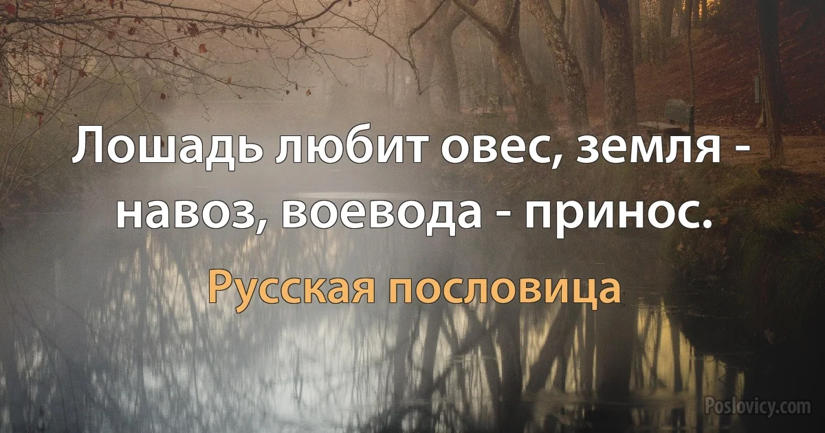 Лошадь любит овес, земля - навоз, воевода - принос. (Русская пословица)