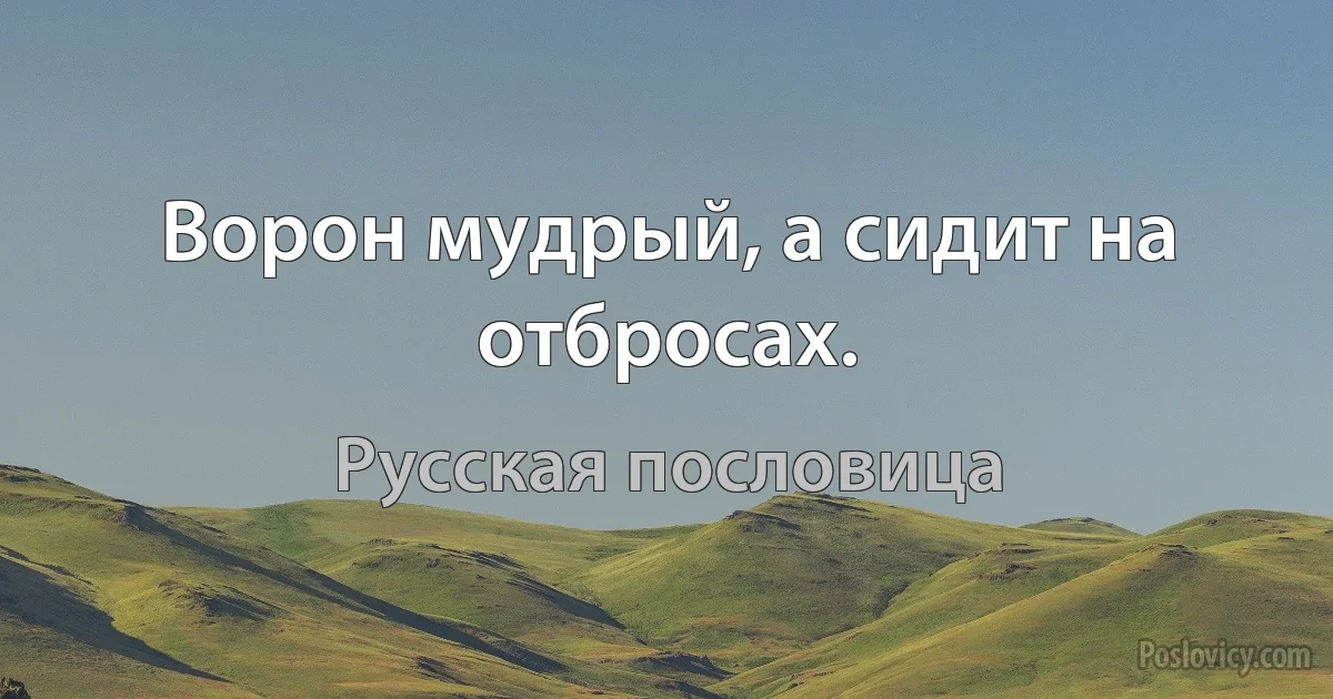 Ворон мудрый, а сидит на отбросах. (Русская пословица)