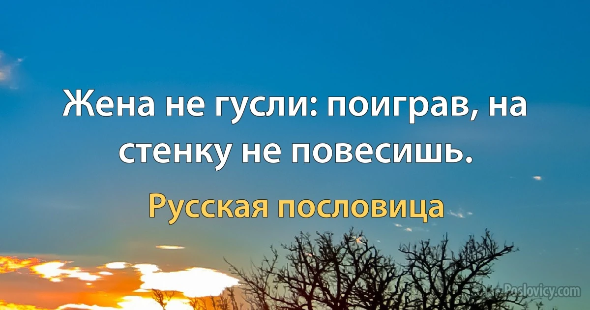 Жена не гусли: поиграв, на стенку не повесишь. (Русская пословица)