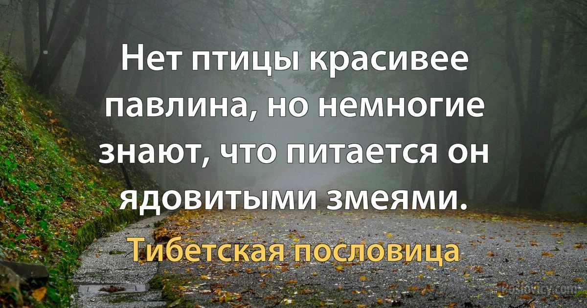 Нет птицы красивее павлина, но немногие знают, что питается он ядовитыми змеями. (Тибетская пословица)