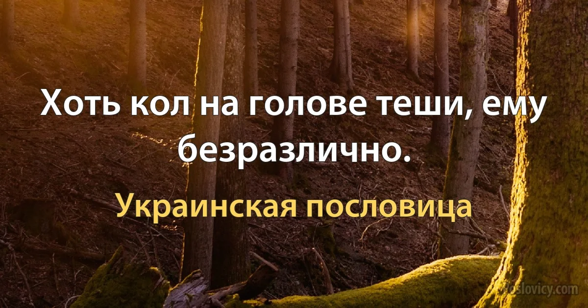 Хоть кол на голове теши, ему безразлично. (Украинская пословица)