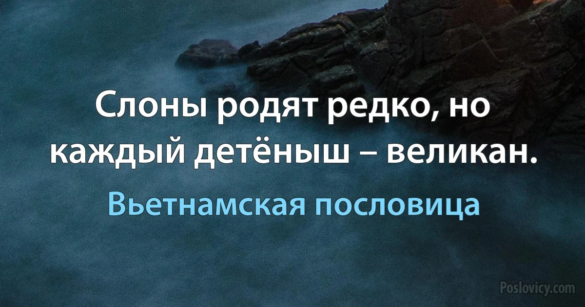 Слоны родят редко, но каждый детёныш – великан. (Вьетнамская пословица)