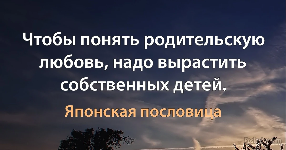 Чтобы понять родительскую любовь, надо вырастить собственных детей. (Японская пословица)