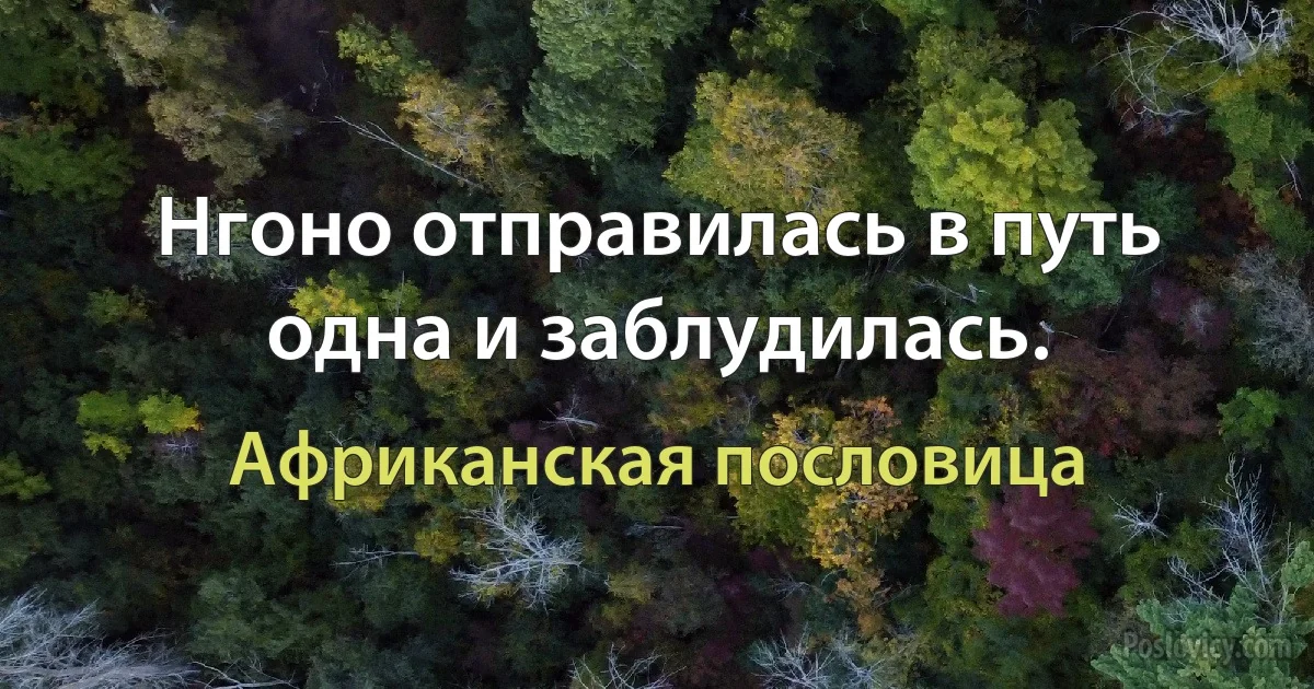 Нгоно отправилась в путь одна и заблудилась. (Африканская пословица)