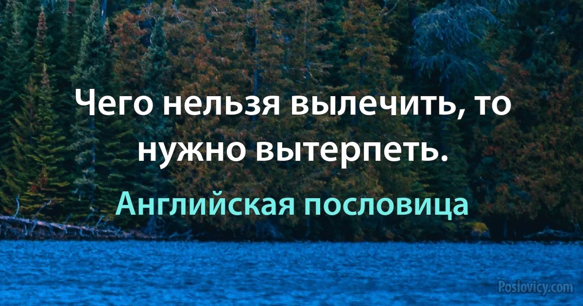 Чего нельзя вылечить, то нужно вытерпеть. (Английская пословица)