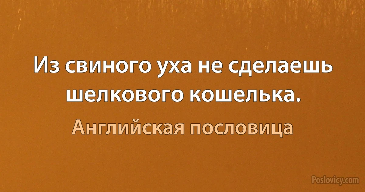 Из свиного уха не сделаешь шелкового кошелька. (Английская пословица)