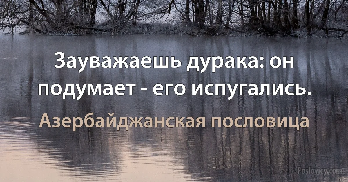 Зауважаешь дурака: он подумает - его испугались. (Азербайджанская пословица)