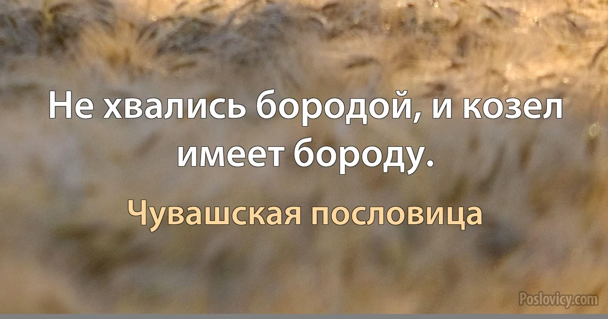 Не хвались бородой, и козел имеет бороду. (Чувашская пословица)